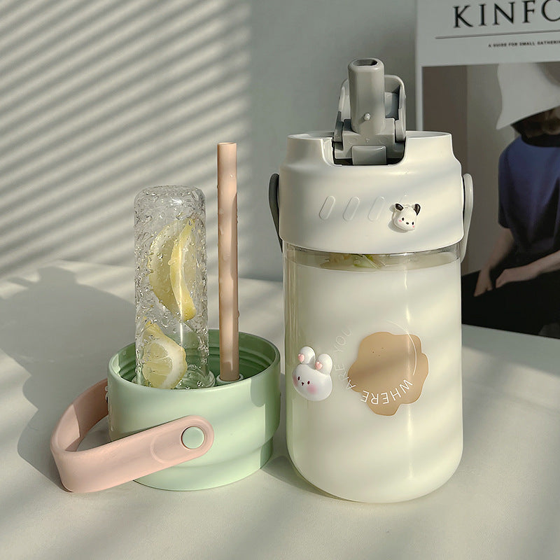 Convenient Carry Tea Leak Plastic Water Cup Straw Cup 650ML